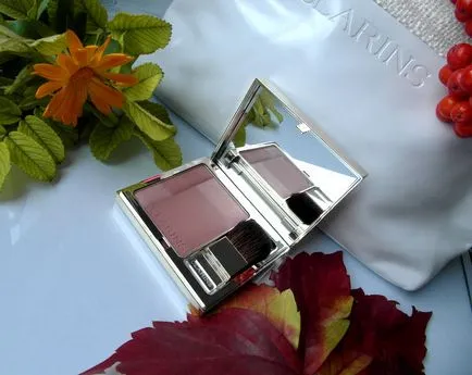 Kompakt rouge Clarinsés pirulni Prodige (árnyalat száma 05 rose wood) - vélemények, fényképek és ár (száraz pirulás) Kompakt rouge Clarinsés pirulni Prodige (árnyalat száma 05 rose wood) - vélemények, fényképek és ár