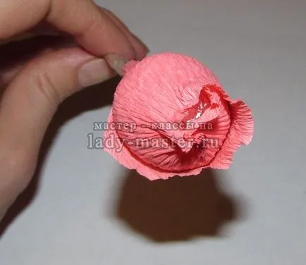 Candy - hullámpapír rózsák március 8-án, a mester - osztály fotók, lépésről lépésre