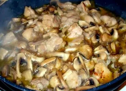 világa