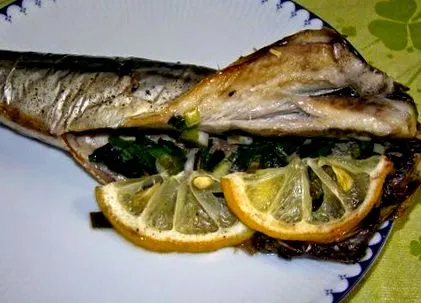 полнета кристина