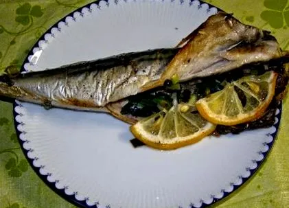 кристина скуша