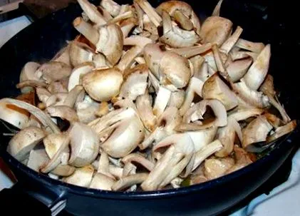 2014 január