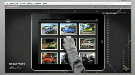 Cat parancs az interneten, „laykni” tervezet cikk (promóció) Cat parancs az interneten, a cikk „laykni” projekt