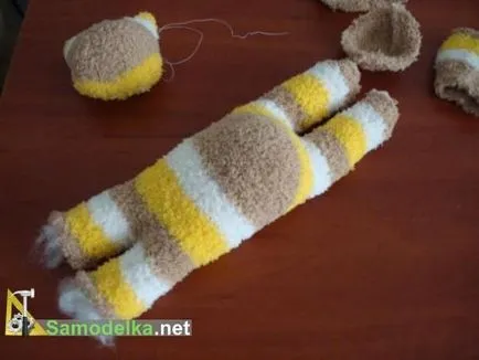 Cat zokni kezét