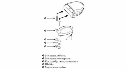Felhelyezése a WC-fedelet a kezével