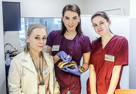 Órás Veterinary Clinic Zoovet