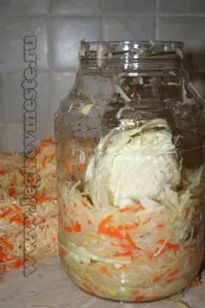 Ropogós savanyú, savanyú káposzta recept egy fotó