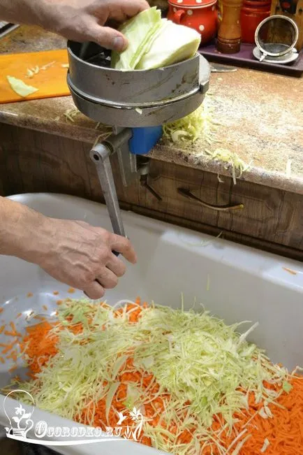 Savanyú káposzta télen - a vödör, hordó, mosdó, bankok, gyors klasszikus recept