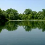 Ragályos ahol a sivár és kopár, hogy a fogások (catch) Ragályos sivár, hol és mit kell halászni sivár