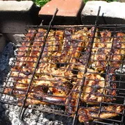 A legjobb receptek, hogyan lehet savanyú a shish kebab nyársat sertés, csirke, hal, pulyka