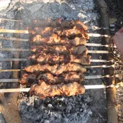 A legjobb receptek, hogyan lehet savanyú a shish kebab nyársat sertés, csirke, hal, pulyka