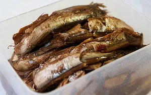 Ragályos ahol a sivár és kopár, hogy a fogások (fogása) Ragályos sivár, hol és mit kell halászni sivár