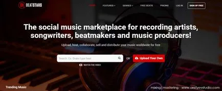 A legjobb weboldalak értékesítési zene, arefyev stúdió (bevétel) A legjobb weboldalak értékesítési zene, arefyev studio