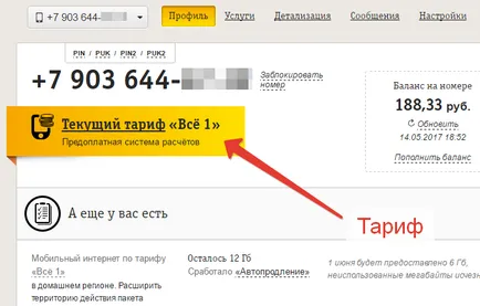 Személyes fiók Beeline - a bejárat, regisztrációs lehetőségek, video (személyes) Személyes fiók Beeline - a bejárat, a regisztráció, funkciók videó