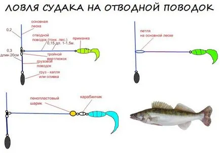 Horgászat a bypass pórázt tippek kezdőknek