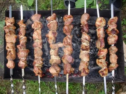 Grill és barbecue hová tegye, hogyan kell főzni (perc chop chop) Grill és barbecue hová tegye, hogyan kell főzni