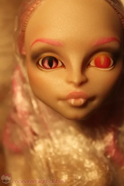Master-osztály létrehozását ooaka babák Monster High - dolgozzon egy arc, nagy szörny csapat