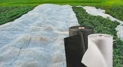 Spunbond anyag olyan, hogy a jellemzőit és tulajdonságait a hatályát (polipropilén) Spunbond anyag olyan, hogy a jellemzők, tulajdonságok és alkalmazási