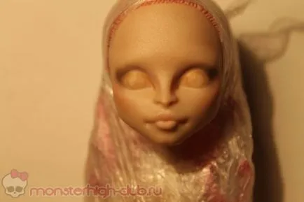 Master-osztály létrehozását ooaka babák Monster High - dolgozzon egy arc, nagy szörny csapat