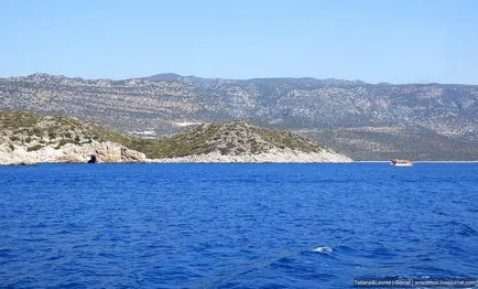 Sea nélkül egy fia, 1 házasság (házasság) Sea nélkül egy fia, 1 házasság