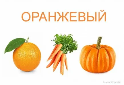 Kezdjük tanulmányozni a színes információs portál max-DV média