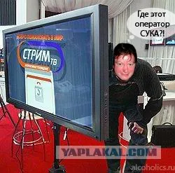 Nem volt szünet, Netlore adsl, call center, Anton Ural, patak, szőnyeg, őrült, munka szakadék