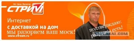Nem volt szünet, Netlore adsl, call center, Anton Ural, patak, szőnyeg, őrült, munka szakadék