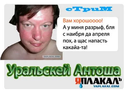 Nem volt szünet, Netlore adsl, call center, Anton Ural, patak, szőnyeg, őrült, munka szakadék