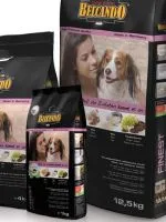 Zokni Dogs