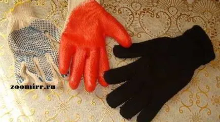 Zokni kutyák a saját kezét, a háziasszony (a kutya) Zokni kutyák a saját kezét, hostess