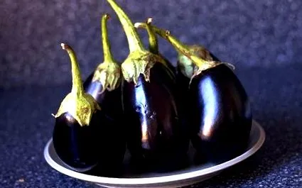 модри