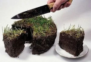 A teljes tulajdoni részesedése a szárazföldön (tulajdon) A részvények teljes tulajdonjogát a telek