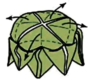 Lotus origami hogyan papír és modulok fotók és videó