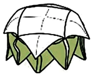 Lotus origami hogyan papír és modulok fotók és videó