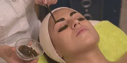 Szemöldök henna biotatuazha berendezések otthon (biotatuazh) Szemöldök henna biotatuazha készülékek otthon