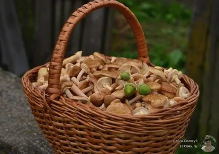 A pácolt gomba receptek