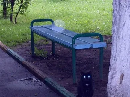 Orbs lakói a finom világ, vagy lövés pontosságát - Párhuzamos világok - hírek (gömbök) Orbs lakói a finom világ, vagy lövés pontosságát - Párhuzamos világok - Hírek