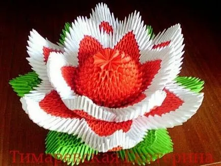 Lotus origami hogyan papír és modulok fotók és videó