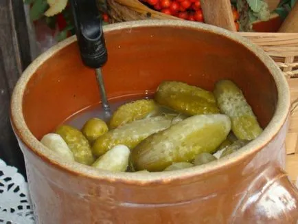 Kovászos uborka termék alacsony kalóriatartalmú