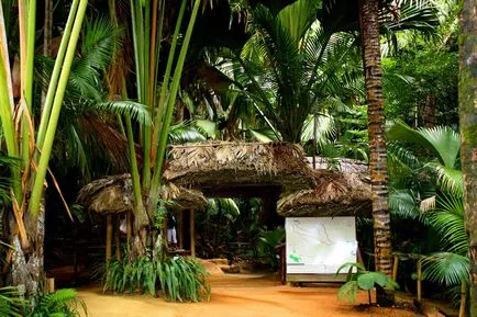 Ünnepnapok Seychelles 2017 árak, hogyan lehet elérni a strandok, vélemények