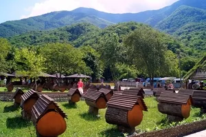 Méhészeti mint üzleti előnyeiről és hátrányairól, az alapvető árnyalatok az üzleti terv, és a nyereségesség, a méhes (ellen) Méhészeti mint üzleti előnyeiről és hátrányairól, az alapvető árnyalatok az üzleti terv, és a nyereségesség a méhészet
