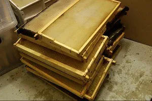 Apiary méhészeti üzleti, kereskedelmi méz (üzleti) Apiary méhészeti üzleti, értékesítése méz