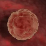 Miért nem IVF után terhes lett (videó)
