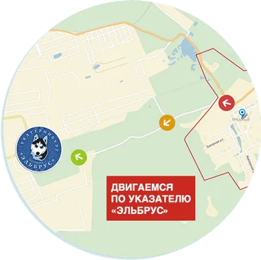 A kennel szánhúzó kutyák Elbrusz (kutya) A kennel szánhúzó kutyák Elbrus