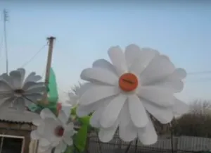 Műanyagból készült palackok, így (palackok) Műanyagból készült palackok, így