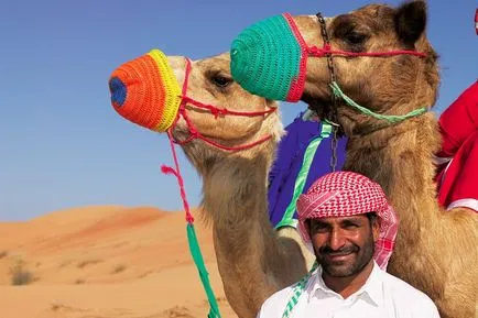 Magatartási szabályok az arab országokban, kószáló