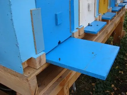 Előnyök pavilon kaptár tartalom (tartalom) Előnyök a burkolat tartalmát méhcsaládok