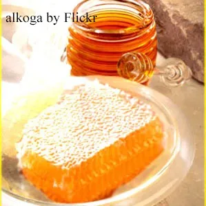 A propolisz - gyógyszer tulajdonságait és ellenjavallatok, előnyei és hátrányai