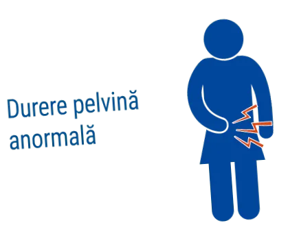 vnútorných genitálií