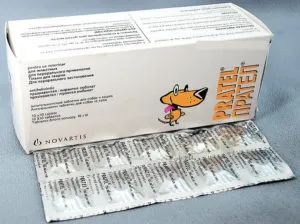 Közös pirulák macskáknak férgek, és ajánlásokat azok használatát (macska) Közös pirulák macskáknak férgek és ajánlásokat azok alkalmazásának